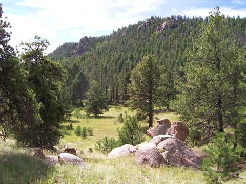 TBD County Road 12, Florissant, CO 80816