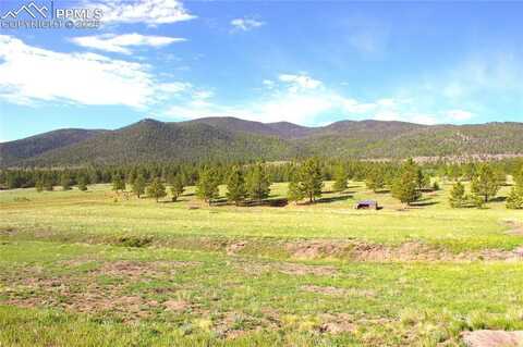 43 Stoll Circle, Lake George, CO 80827