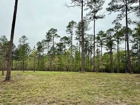 3.38 Cowart Holliday Road, Poplarville, MS 39470