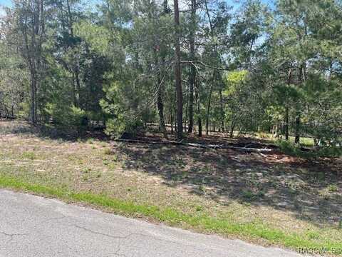 6 Bellis Court, Homosassa, FL 34446