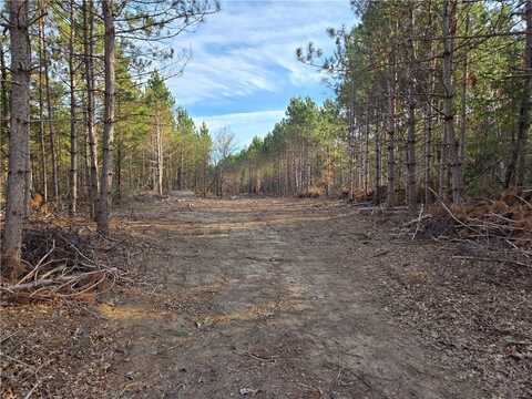 Lot 1 County Road S, Wheeler, WI 54772