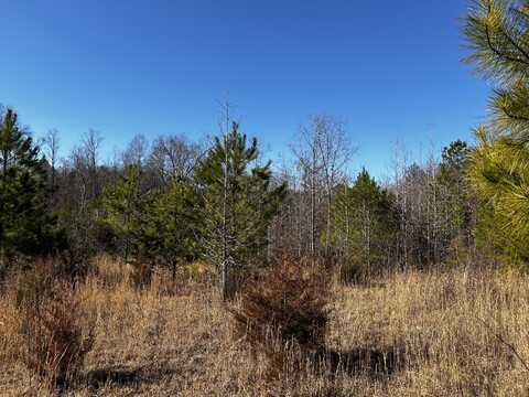 No Pone Valley Road NW, Georgetown, TN 37336