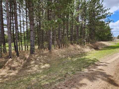 Xxx Goldfinch Circle NE, Miltona, MN 56354