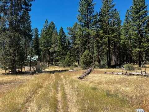 655 W Ponderosa Drive, Lookout, CA 96054