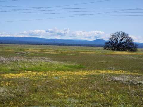 Antler Road, Millville, CA 96062