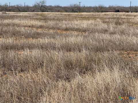 Tract 3 County Road 422, Pleasanton, TX 78064
