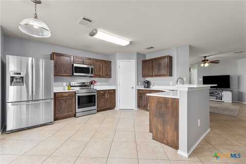 301 Drystone Trail, Liberty Hill, TX 78642