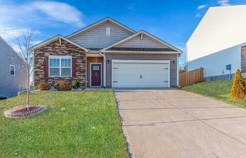 805 Colmore Trail, lyman, SC 29365