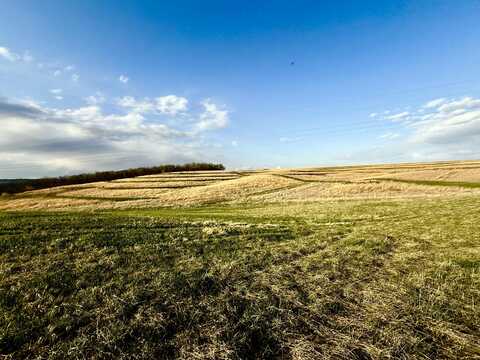 40+/- Ac 305TH Street, MALVERN, IA 51551