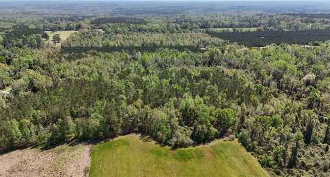 Vacant Attatulga Road, Lamont, FL 32336