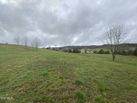 0 Reedy Creek Road, Bristol, VA 24202