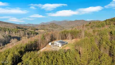 1098-1 Paint Mountain Road, Greeneville, TN 37743