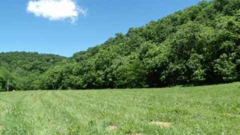 Brimstone Creek Rd, Moss, TN 38575