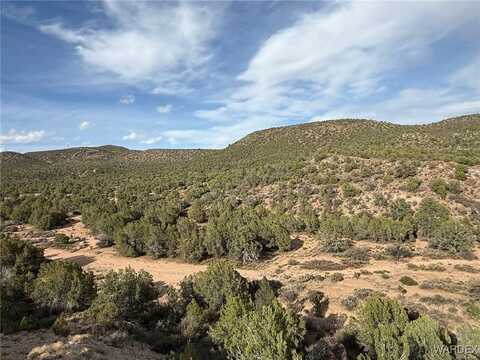 Lot 167 E Globe Willow Drive, Kingman, AZ 86401