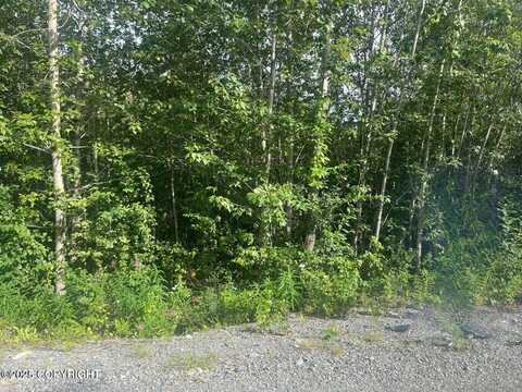 8860 E Ravendale Drive, Palmer, AK 99645