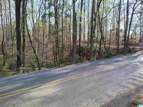 0 SETTLEMENT ROAD, SYLACAUGA, AL 35150