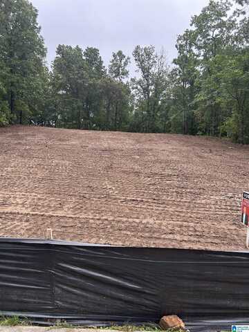1714 OAK PARK LANE, HELENA, AL 35080