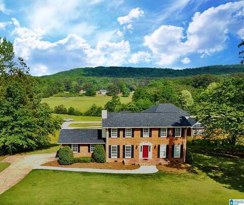 124 SHAMROCK LANE, PIEDMONT, AL 36272