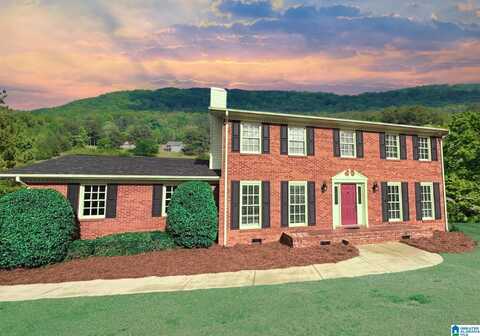 124 SHAMROCK LANE, PIEDMONT, AL 36272