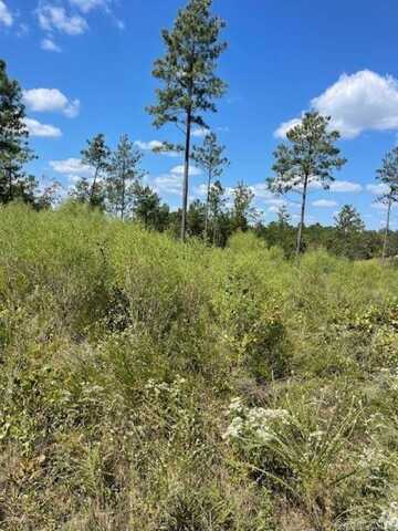 Lot 1BR Hwy 298, Benton, AR 72019