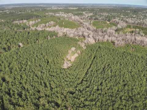 17-15-19 Frog Shack Rd, Stephens, AR 71764