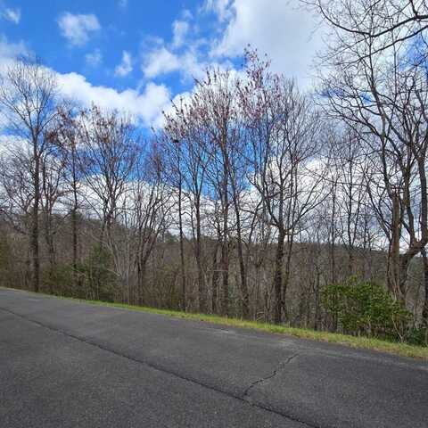0 Highway 52 Ga, Chatsworth, GA 30705