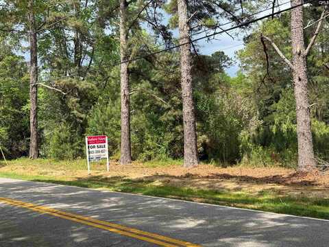 340 Old Chapin, Lexington, SC 29072