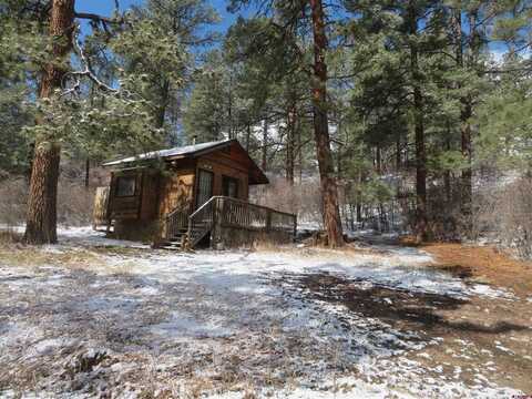 203 Evergreen, Pagosa Springs, CO 81147