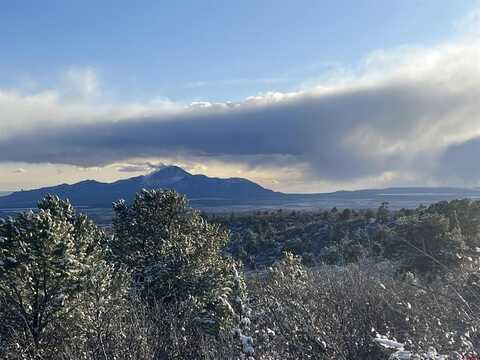 TBD Road T.5, Dolores, CO 81323