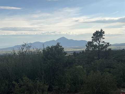 TBD Road T.5, Dolores, CO 81323
