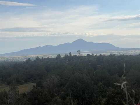 TBD Road T.5, Dolores, CO 81323