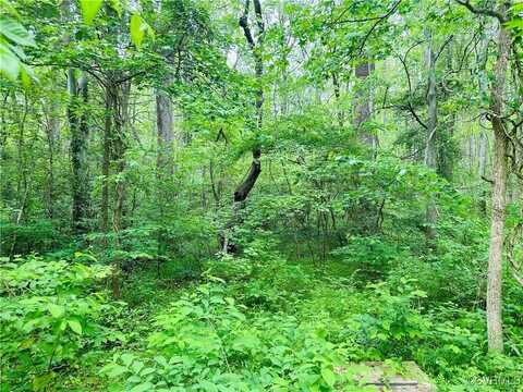 0 Pouncey Tract Road, Hanover, VA 23146