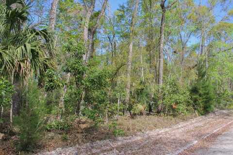 812th St, Old Town, FL 32680