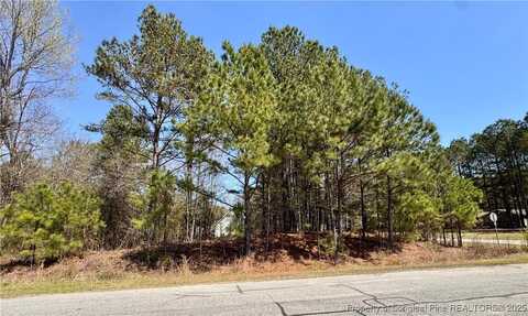 Manassas Drive, Sanford, NC 27332