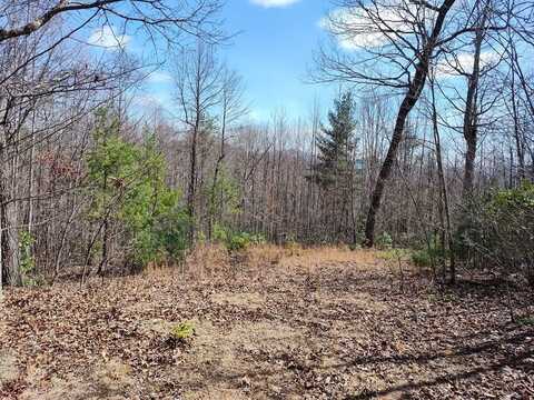 undefined, Franklin, NC 28734