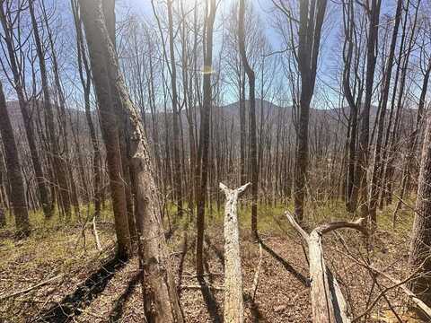 Blue Moss Dr, Sylva, NC 28779