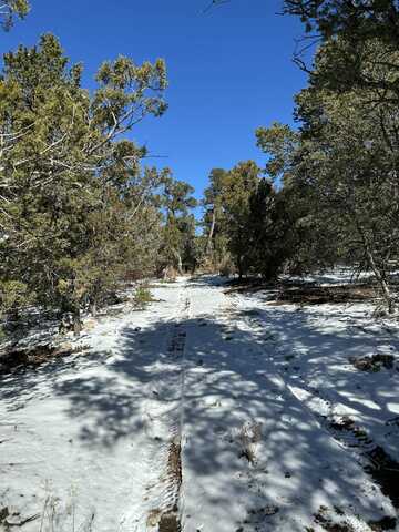 undefined, Edgewood, NM 87015