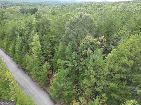 53 Skyline, Braswell, GA 30153