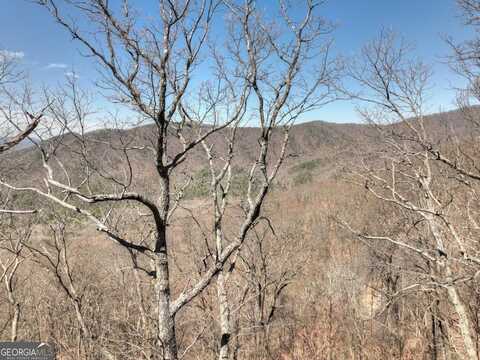 Lot 13 Wilderness, Ellijay, GA 30536