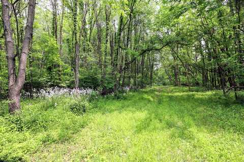 Vl Doster Road, Lot#WP001, Plainwell, MI 49080