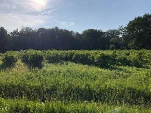 12588 Red Arrow Highway, Sawyer, MI 49125