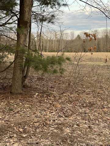 V/L E Baseline Road, Hesperia, MI 49421