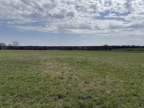 5470 W Republic Road, Brookline, MO 65619