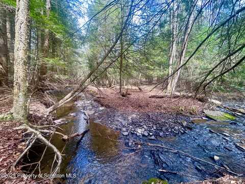 Hack Road, Dalton, PA 18414