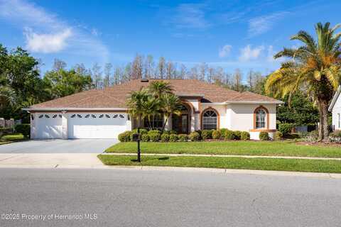 21312 PRESERVATION Drive, Keystone, FL 34638