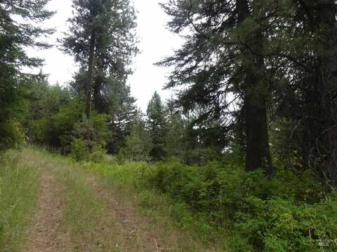506 Devils Elbow Drive, Lenore, ID 83541