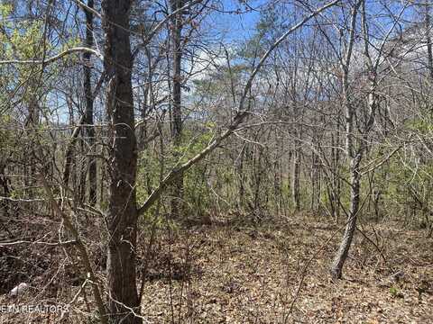 # 6 HWY 127 NORTH, Crossville, TN 38555