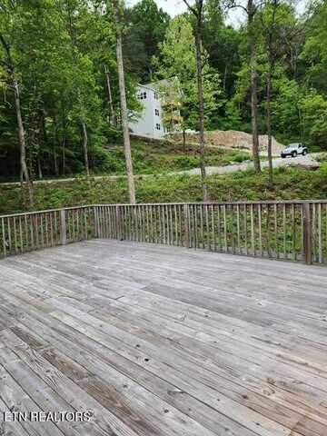 176 Flat Hollow Marina Rd, Speedwell, TN 37870