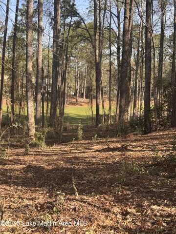 Lot 108 Hickory Way Way, Dadeville, AL 36853