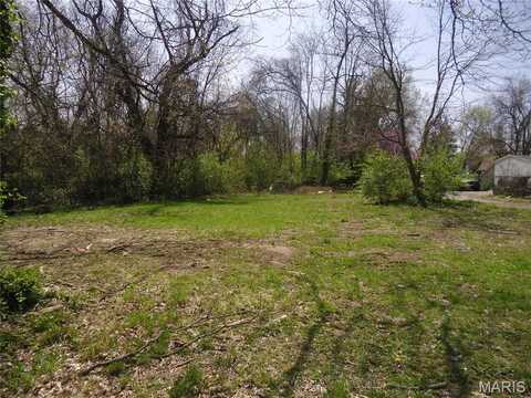 6 N 95th Street, Belleville, IL 62223